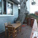 Hill side addition with wrap around deck. Foundation was stepped around tree. 